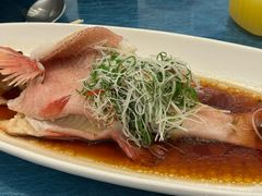 -圆苑(静安寺店)