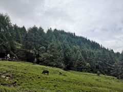 -硗碛藏寨·神木垒景区