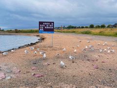 -青海湖二郎剑景区