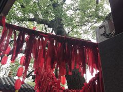 -仓山金山寺