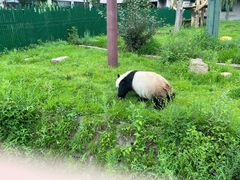 -沈阳森林动物园