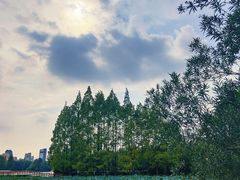 -黄兴公园