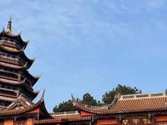 -铁山坪森林公园