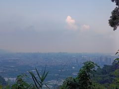-鼎湖山风景区