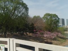 -大兴滨河森林公园