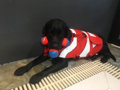 -Goku PET SHOP宠物视觉生活馆(双井店)