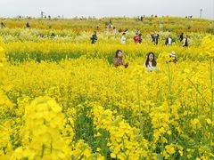 -三圣花乡旅游区