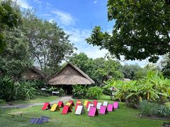 -大象粑粑造纸公园