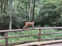 -十里画廊