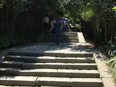 -武当山风景区-太子坡
