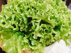 -曲氏老北京铜锅涮肉•火锅(不老街店)