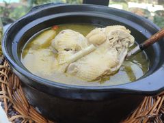 -阿巧茶庄