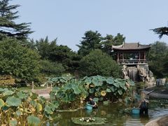 -国家植物园南园