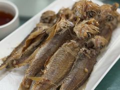 -沪依小酒馆心意菜