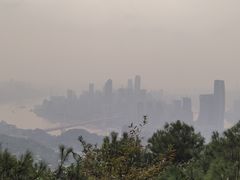 -南山植物园