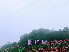 -枇杷园食为鲜火锅(南山店)
