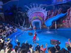 -烟台海昌鲸鲨海洋公园