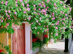 -天津五大道文化旅游区