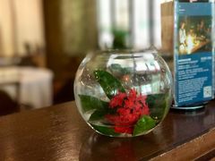 -白云中餐厅·粤菜·亚龙湾喜来登度假酒店