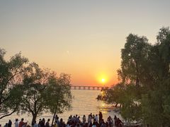 -宝安西湾红树林湿地公园