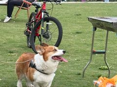 -暮谷MUGO ·团建聚会·露营烧烤·生日派对·共享菜地
