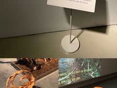 -上海当代艺术博物馆