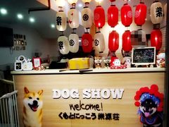 -柴源莊·柴小宠柴犬咖啡