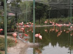 -石家庄市动物园