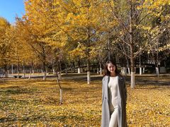 -长白岛森林公园