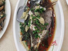 -秋姐美食店(海陵岛保利店)