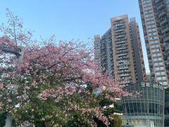-宝能·all city(南山店)