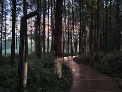 -云龙湖旅游景区