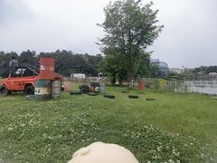 -大塘金香草谷