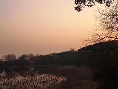 -上海市保健医疗中心