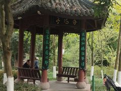 -龙头寺公园