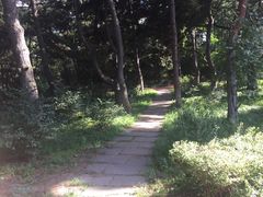 -长春市南湖公园