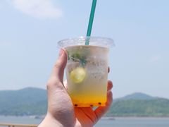 百香果气泡水-猫里有甜