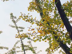 -梁鸿国家湿地公园