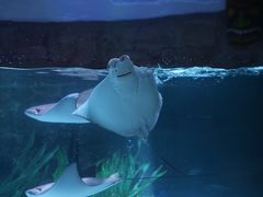 -沈阳海洋探索中心