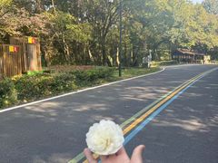 -句容茅山景区