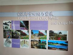 -武汉紫薇都市田园