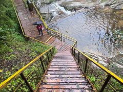 -青峰峡国家森林公园