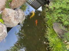 -湖南别院·美学庭院餐厅(惠阳店)