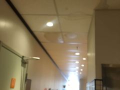 -麦当劳(鄂尔多斯机场店)
