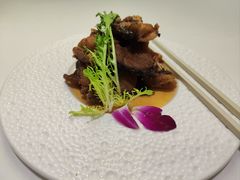 广式鲟龙鱼-宝界普菲特湖畔酒店