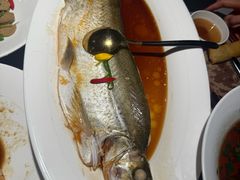 -醉庐·新上海菜(南京西路店)