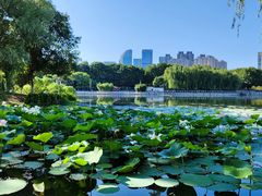 -后襄河公园