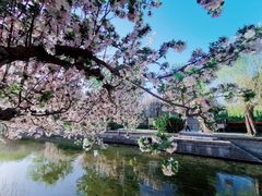 -海棠花溪(元大都城垣遗址公园)