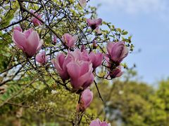 -福建鲤鱼洲酒店