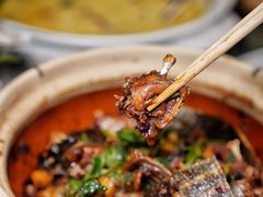 -金龙·打边炉(南京西路店)